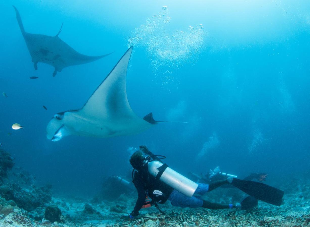 Hotel South Ari Dive Center Dhangethi Exteriér fotografie