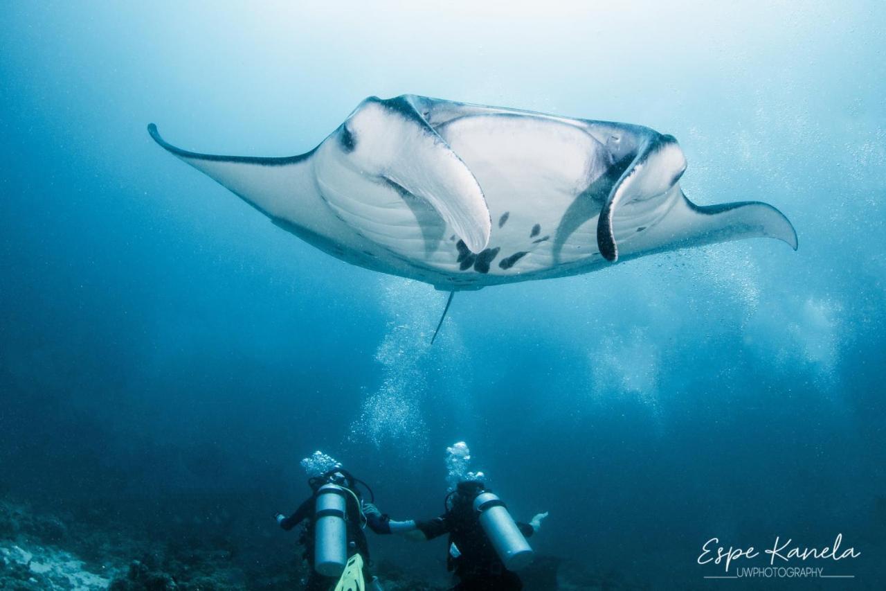 Hotel South Ari Dive Center Dhangethi Exteriér fotografie