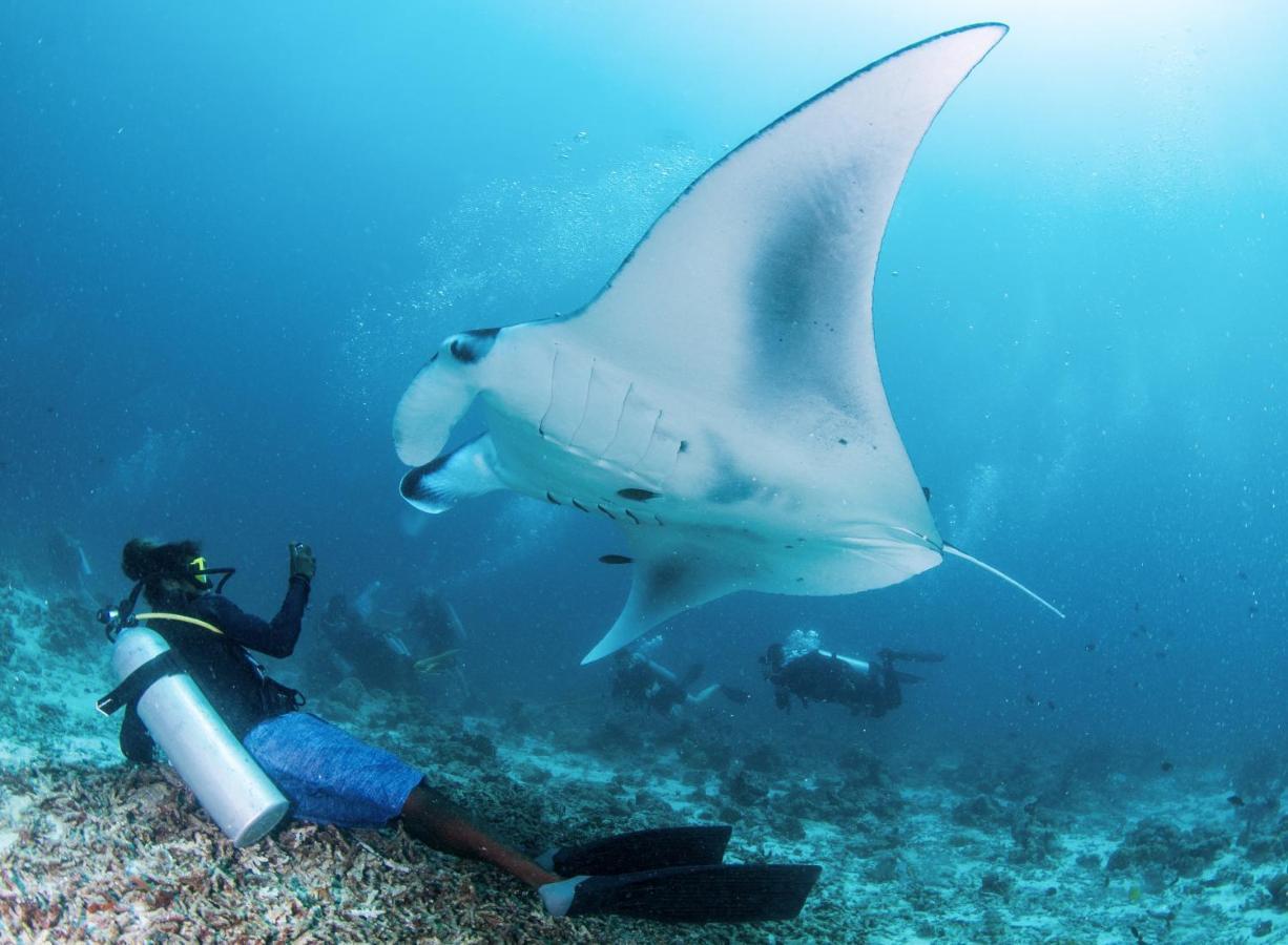 Hotel South Ari Dive Center Dhangethi Exteriér fotografie