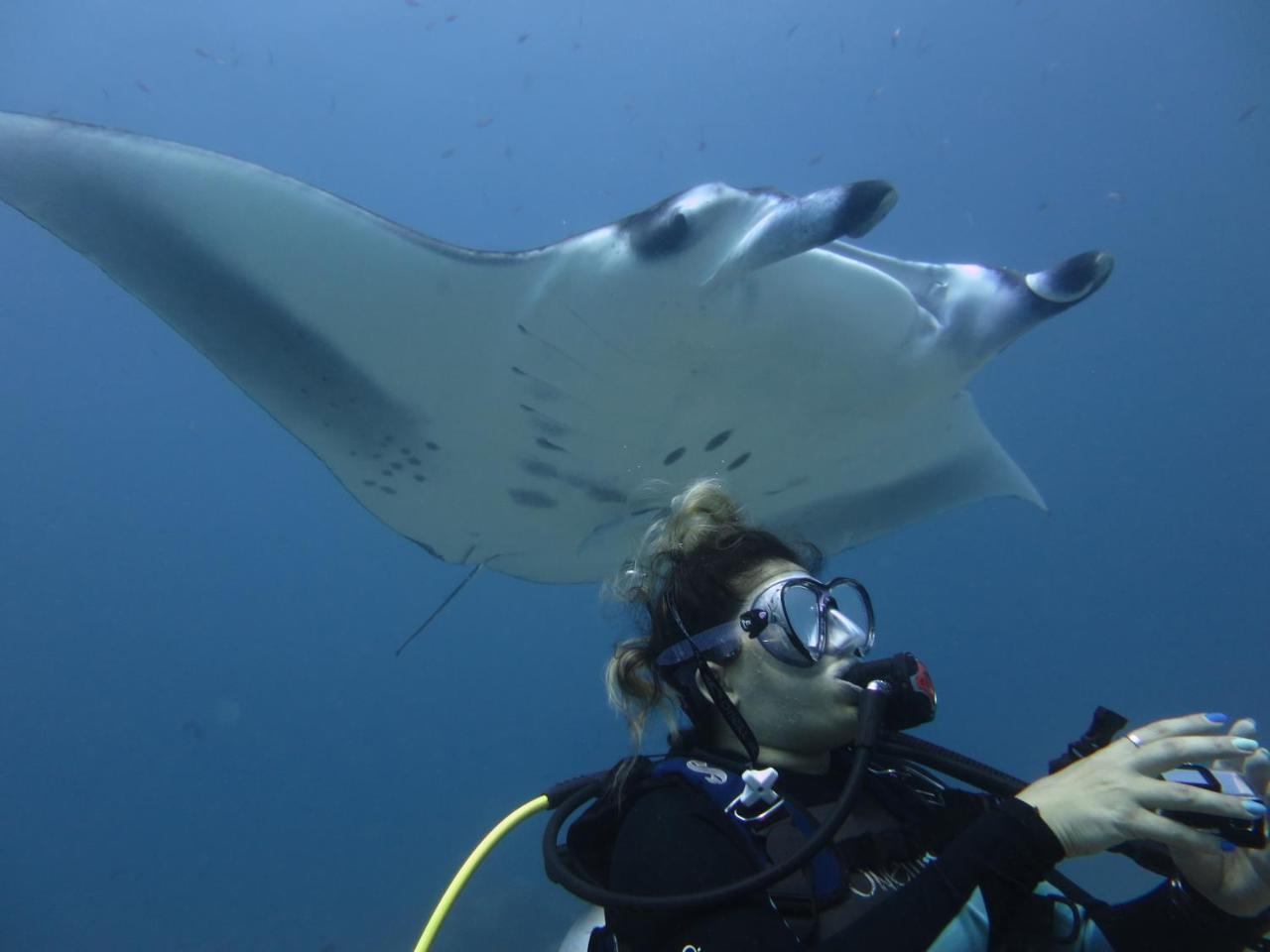 Hotel South Ari Dive Center Dhangethi Exteriér fotografie