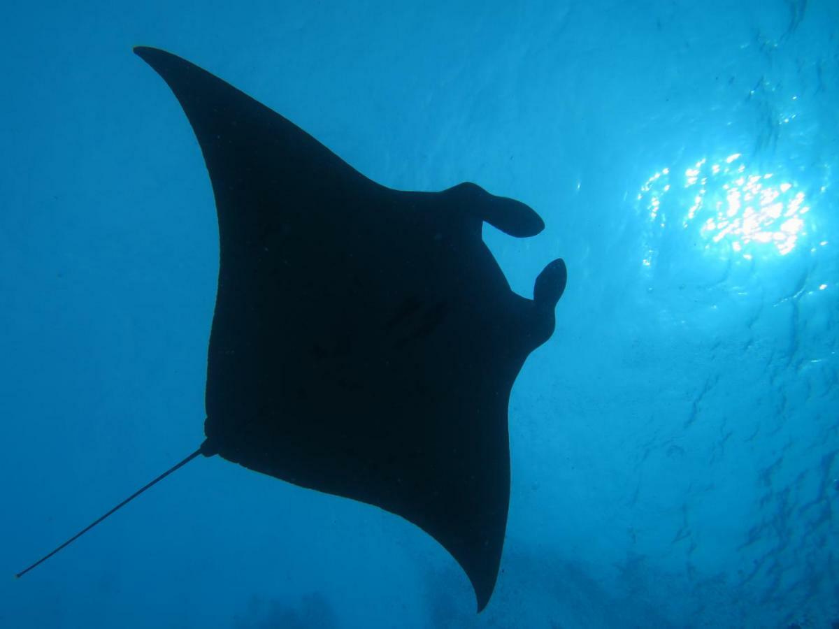 Hotel South Ari Dive Center Dhangethi Exteriér fotografie